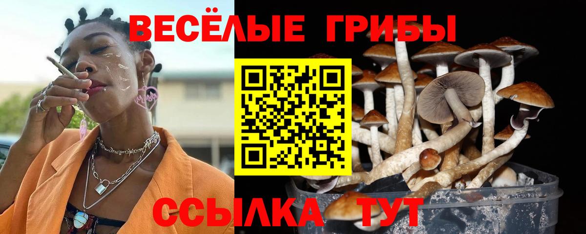Галлюциногенные грибы Psilocybine cubensis  Галлюциногенные грибы MAGIC MUSHROOMS  Курчатов  Вход с VPN 