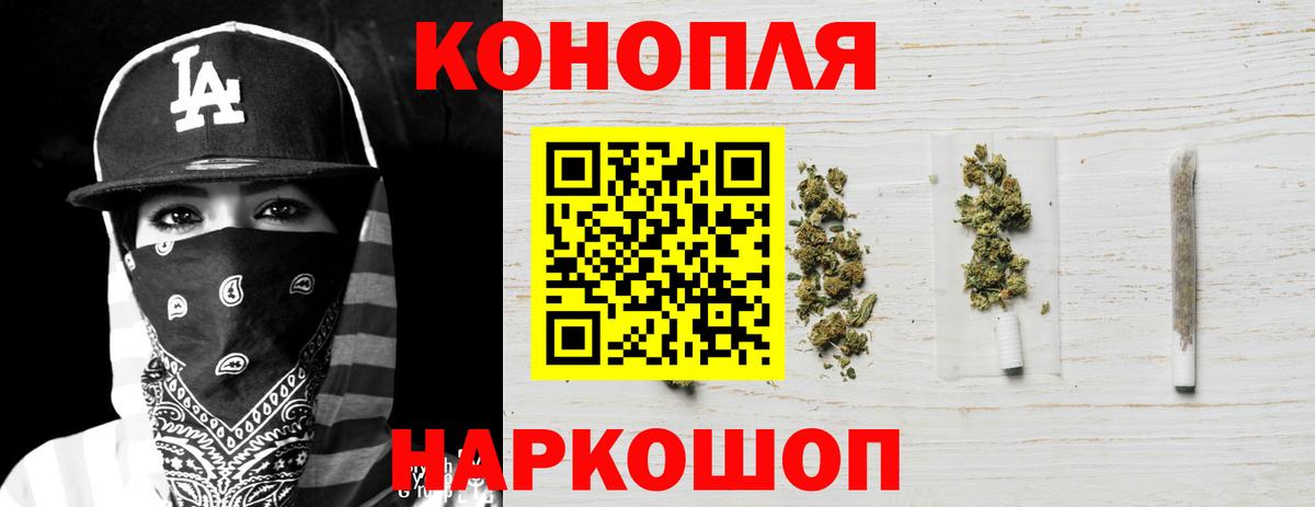Бошки Шишки ГИДРОПОН  Вход с VPN  Курчатов  Конопля AK-47  Бошки Шишки план 